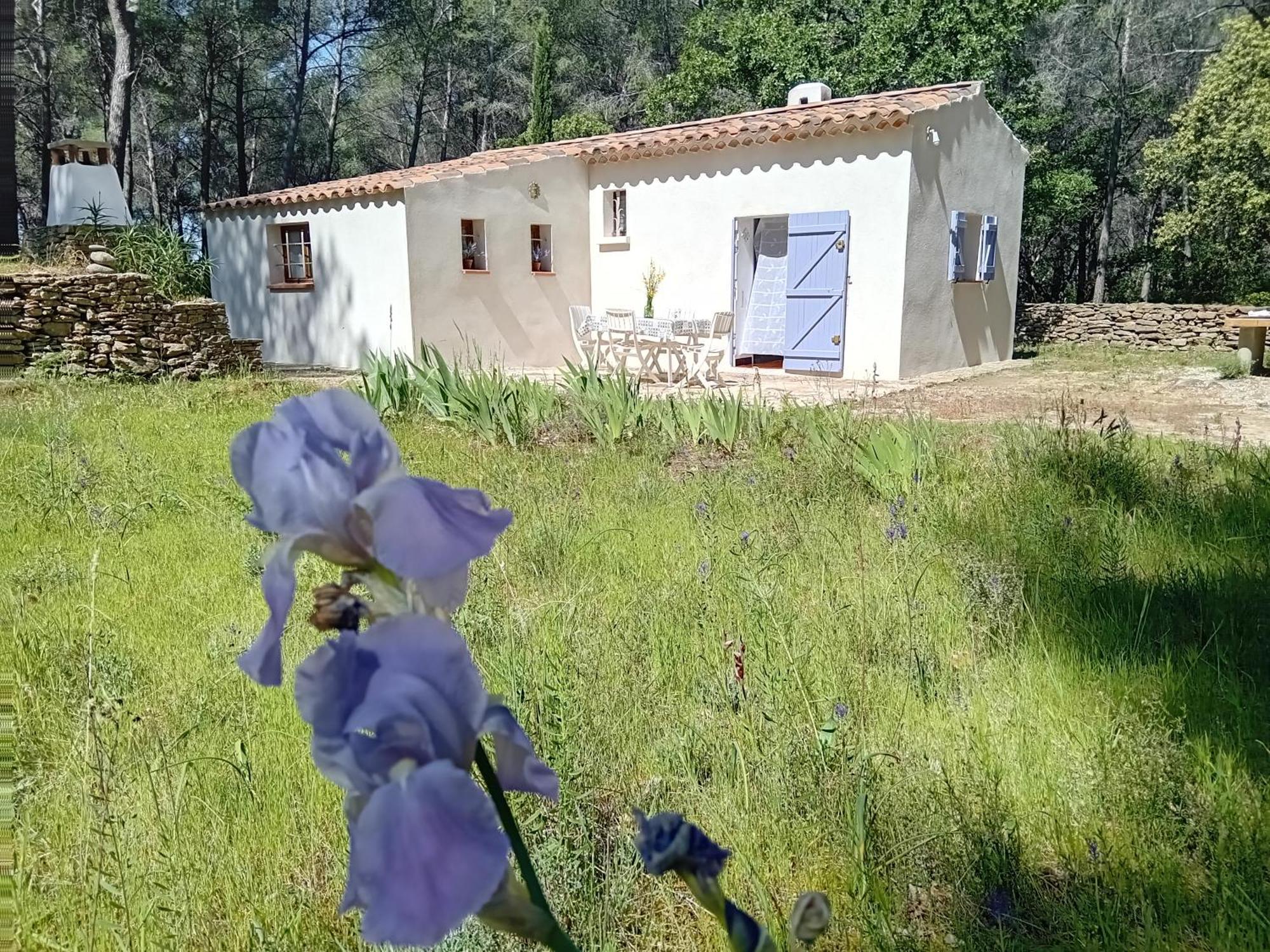 La Maison Du Rouquet Le Beausset Exterior photo
